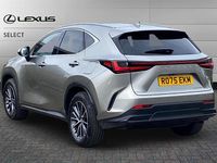 Used Lexus NX350h 243 HP (178 kW) 2025 Silver SUV