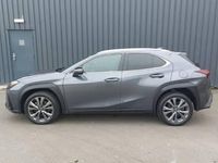 Used Lexus UX 300h Sport Design Packet 199 HP (146 kW) 2025 Grey SUV
