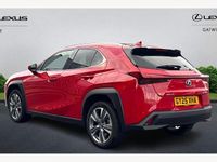 Used Lexus UX 150 kW (204 HP) 2025 SUV