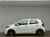 Used Kia Picanto 83 HP (61 kW) 2019 White Hatchback