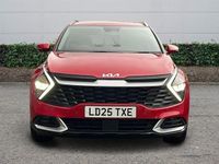 Used Kia Sportage 159 HP (116 kW) 2024 SUV