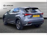 Used Lexus NX300h Sport Line 197 HP (144 kW) 2021 Grey SUV