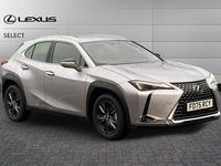 New Lexus UX 300h 199 HP (146 kW) 2025 Unknown SUV