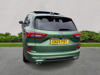 Used Ford Kuga ST-Line X 2025 Green SUV
