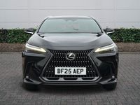 Used Lexus NX450h+ 2025 Black SUV