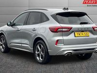 Used Ford Kuga ST-Line 242 HP (177 kW) 2025 SUV