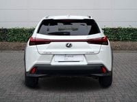 Used Lexus UX 250h 2021 White SUV