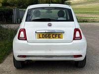 Used Fiat 500 Lounge 69 HP (50 kW) 2016 White Hatchback