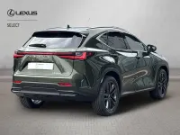 New Lexus NX350h 197 HP (144 kW) 2026 Terrane khaki Estate