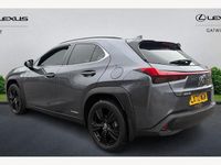 Used Lexus UX 250h 184 HP (135 kW) 2024 SUV