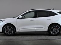 Used Ford Kuga ST-Line 150 HP (110 kW) 2023 White SUV
