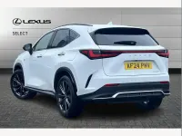 Used Lexus NX350h Sport Line 242 HP (177 kW) 2024 White SUV