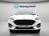 Used Ford Kuga ST-Line X 224 HP (164 kW) 2023 SUV