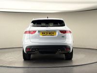 Used Jaguar F-Pace Chequered Flag 250 HP (183 kW) 2020 Exterior paint  yulong white SUV