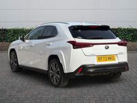 Used Lexus UX 250h Sport Line 2023 White SUV