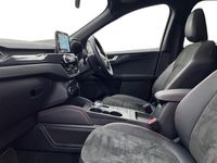 Used Ford Kuga ST-Line X 190 HP (139 kW) 2023 Blue SUV