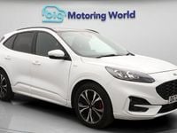 Used Ford Kuga ST-Line X 150 HP (110 kW) 2022 White SUV