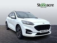 Used Ford Kuga ST-Line X 225 HP (165 kW) 2024 White SUV