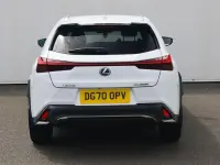 Used Lexus UX 250h Sport Line 2020 White SUV