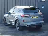 Used Ford Kuga ST-Line 150 HP (110 kW) 2023 Silver SUV