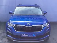 Usata Skoda Kodiaq SE Drive 150 CV (110 kW) 2023 Blu SUV