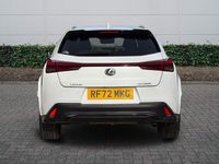 Used Lexus UX 250h Sport Line 2023 White SUV
