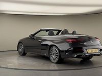 Used Mercedes CLE300 AMG Line Premium Plus 258 HP (189 kW) 2025 Cabriolet