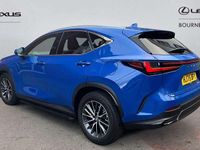 Used Lexus NX450h+ 304 HP (223 kW) 2025 Blue SUV