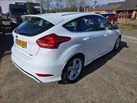 Used Ford Focus Zetec 125 HP (91 kW) 2016 White Hatchback