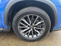 Used Lexus NX450h+ 301 HP (221 kW) 2023 Blue SUV