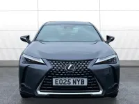 Used Lexus UX 150 kW (204 HP) 2025 Grey SUV