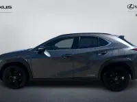 Usado Lexus UX 250h 184 CV (135 kW) 2024 SUV