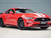 Used Ford Mustang Fastback 310 HP (228 kW) 2019 Red Coupe