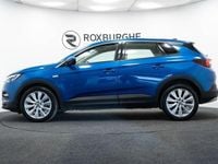 Used Vauxhall Grandland X Elite 130 HP (95 kW) 2020 Blue SUV