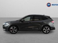 Used Ford Kuga ST-Line X 190 HP (139 kW) 2023 Grey SUV