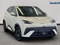 New BYD Dolphin 64 kW (88 HP) 2026 Metallic  apricity white Hatchback