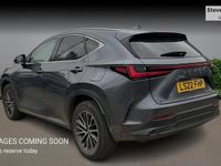 Used Lexus NX450h+ 2022 Grey SUV