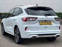 Used Ford Kuga ST-Line X 190 HP (139 kW) 2023 SUV