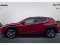 Used Lexus UX 150 kW (204 HP) 2025 SUV