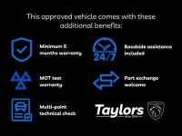 Used Peugeot Expert Premium 142 HP (104 kW) 2023 White Van