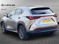 Used Lexus NX350h 243 HP (178 kW) 2025 Unknown SUV