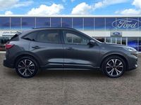 Used Ford Kuga ST-Line X 2022 Grey SUV