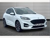 Used Ford Kuga ST-Line X 150 HP (110 kW) 2022 White SUV