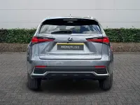 Used Lexus NX300h Sport Line 2021 Grey SUV