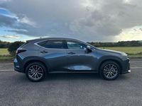 Used Lexus NX350h 2025 Grey Estate