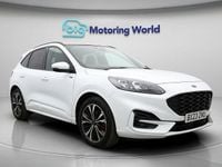 Used Ford Kuga ST-Line X 190 HP (139 kW) 2023 SUV