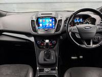 Used Ford Kuga ST-Line 179 HP (131 kW) 2019 SUV