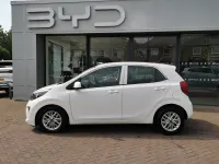 Used Kia Picanto 66 HP (48 kW) 2020 White Hatchback