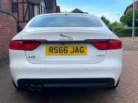 Used Jaguar XF R-Sport 180 HP (132 kW) 2016 White Sedan