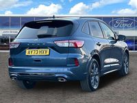 Used Ford Kuga ST-Line 2023 Blue SUV